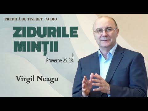 Virgil Neagu - Zidurile minții