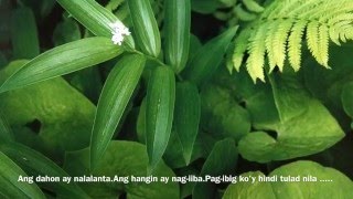 Pag-ibig Ko&#39;y Ibang-Iba (w/LYRICS) by Cinderella (1972)