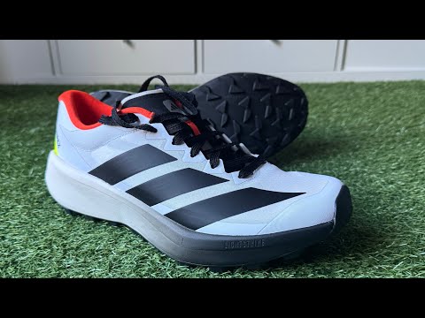 Adidas Terrex Agravic 4