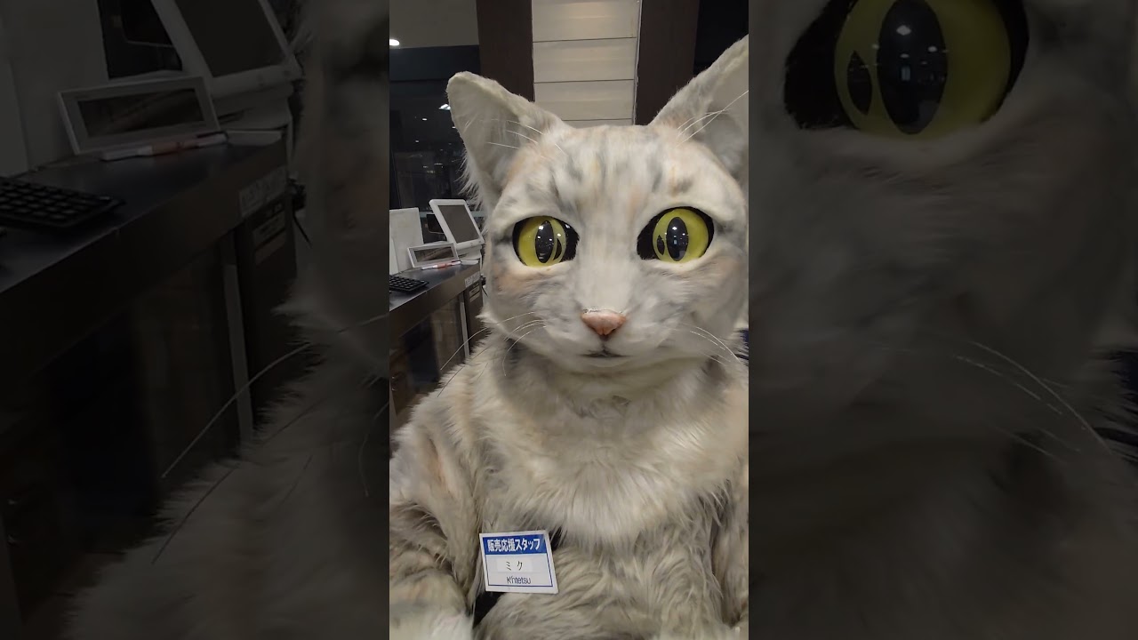 草津近鉄6日目終了しました✨