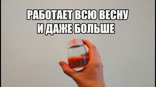 Чем смазать приманку для лучшего клева