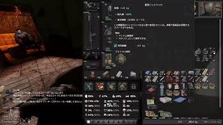 stalker  gamma
