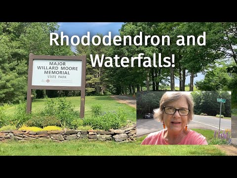 Rhododendron and Waterfalls!