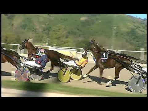 Trotto 26/01/2021 - 3ª corsa