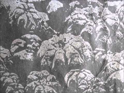 Mind Distortion System & Enichkin & Phagos Sonus - Croc monsieur