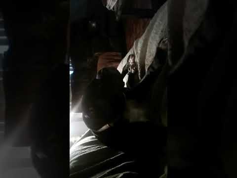 Brutus-I love you  (Offical Music Video)