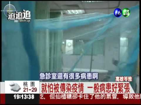 登革熱病患就醫 蚊帳破.蚊亂飛