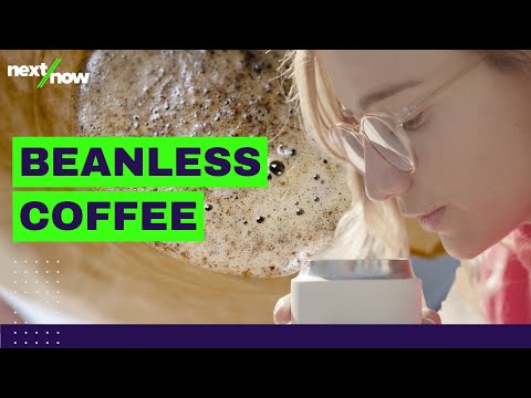 Climate Change Could Ruin Coffee. Unless... | Minus Coffee