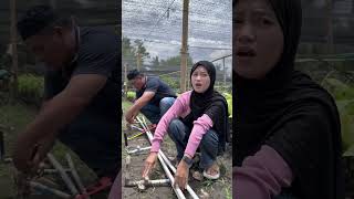 Download lagu Giliran ngaji langsung di Skip☺️ #comedy #muslimreligion #funny #quranicblessings #godgrace #duet mp3