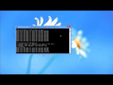 How to Stop Ping in the Terminal - YouTube