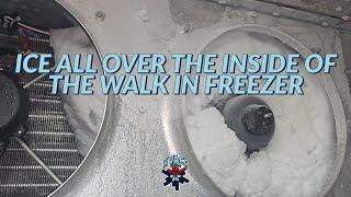 Ice All Over the Inside of the Walk-In Freezer