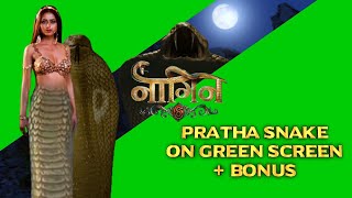 Download lagu Naagin 6 Pratha animations on Green Screen | Naagin 6 | PRATHA | mp3