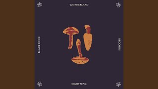 Nightfunk - Wonderland video