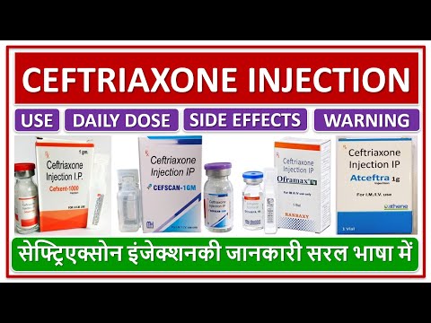 Ceftriaxone sulbactam safevet forte injection
