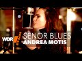 Andrea Motis feat. by WDR BIG BAND - Señor Blues