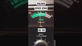 Roland Space Echo