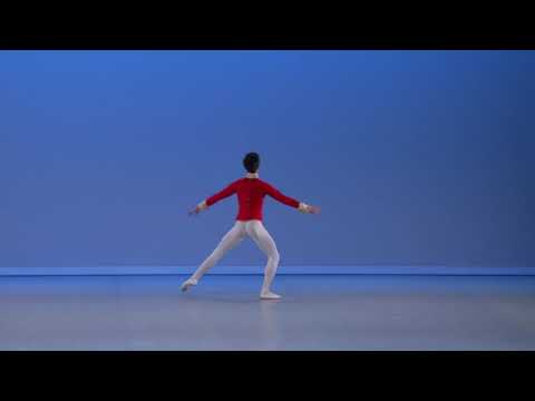 António Ferreira, 205 - Prix de Lausanne 2019, classical