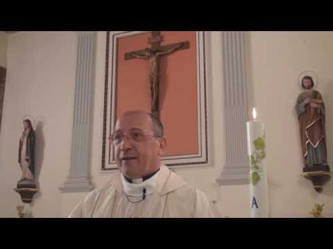 Homilía: Raíces profundas