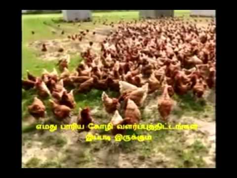 SAMMANTHURAI ASNI ASWIL