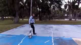 Crazy Maize The Out Of Control Aussie-Doodle Dogtra Remote E Collar