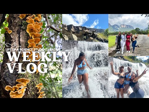 VLOG | We hit 500 subscribers🥹 | Botany trip to KZN Bergview 