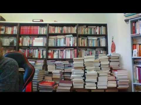 Wen Xiang Discusses History (26079) &mdash; Hu Henghua, a member of the Central Committee and mayor of ...
