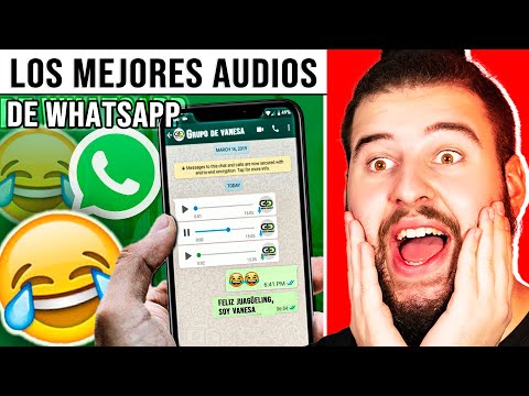The Best Funny WhatsApp Audios # 1