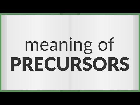 Precursors | meaning of Precursors