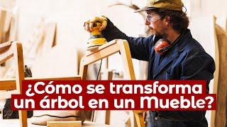 🌳 ¿Cómo se FABRICAN los MUEBLES? - Conoce el PROCESO INDUSTRIAL de la 