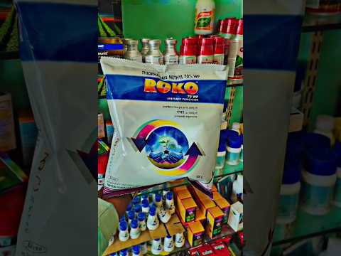 रोको फंगिसाइड 🌱💯 ROKO FUNGICIDE | thiophanate methyl 70 wp| #shortvideo #shorts