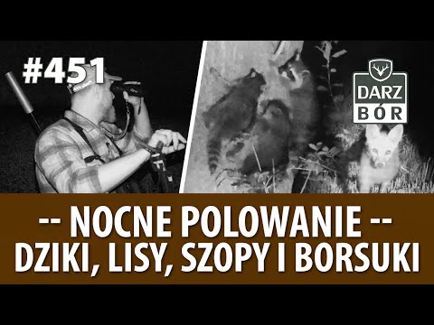 Darz Bór odc 451 Lipcowe Polowanie. Nocna przygoda.