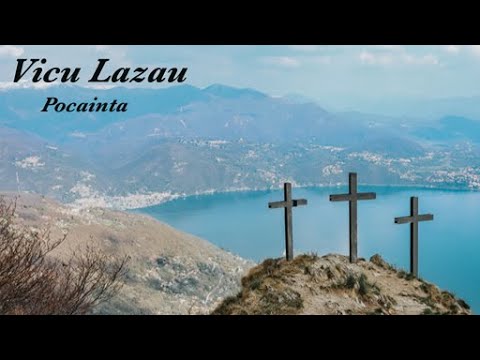 Pocainta - Vicu Lazau
