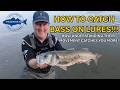 HOW TO CATCH BASS ON LURES THROUGH LEARNING ABOUT THEIR MOVEMENT AND BEHAVIOUR...