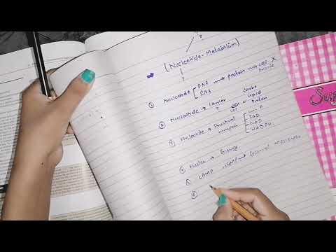 Nucleotide Metabolism (part 1)