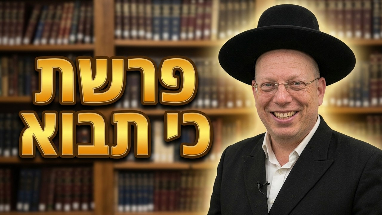 הרב ליאור גלזר פרשת כי תבוא  תשפ"ו שידור חי