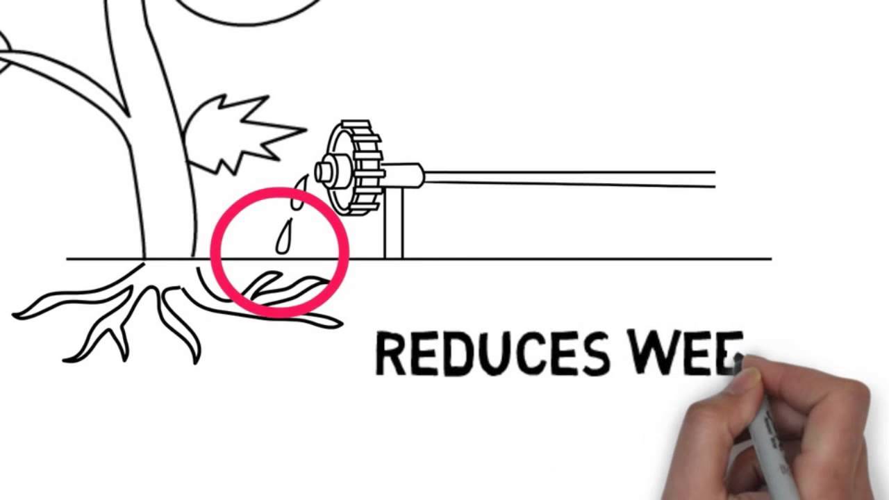 What is Drip Irrigation?