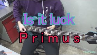 Primus - Is it luck [Bass Cover]