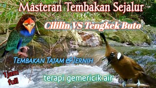 Download lagu Masteran Cililin vs Tengkek Buto | Terapi Gemericik Air mp3