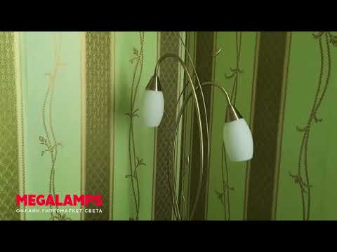 Отзыв Megalamps.ru торшер Eurosvet Ginevra 22080/2F