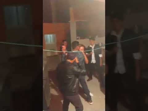 La colibritany JAJAJA