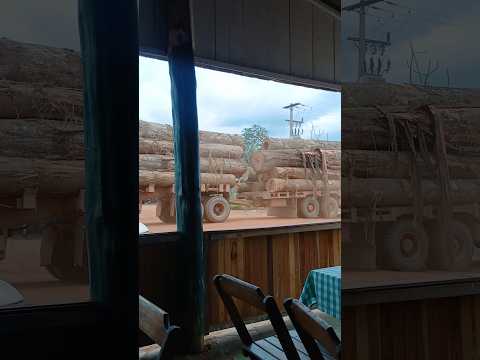 AI TEM PRESSÃO 🔥 💪.#caminhões #madeira #matogrosso