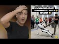 ROBOT KA INTEQAM The Robot S Revenge