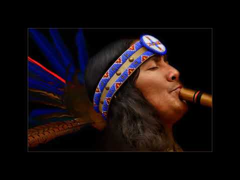 Alborada Del Inka - toro nero