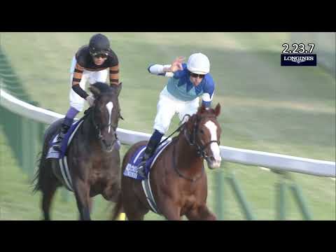 2017 Japan Cup (G1) | JRA Official