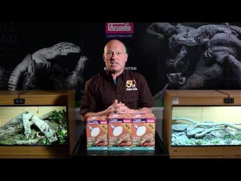 Watch Video on YouTube