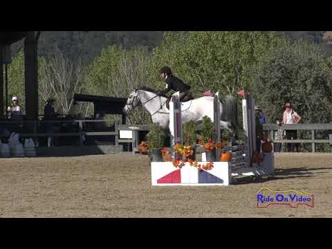 302S Natalie Kavaler on Remington Steele JR Novice Show Jumping Woodside Oct. 2018