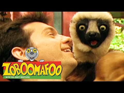 🐒 Zoboomafoo 🐒 117 | Ears Hear - Full Episode | Kids TV Shows