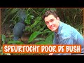 Floris in de jungle: Hoeveel dieren spot jij? | DierenpraatTV