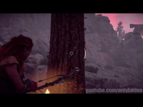 Just an ant hive climbing up a tree in Horizon Zero Dawn