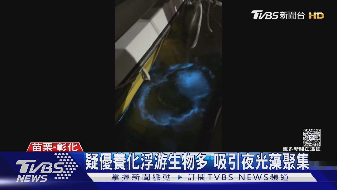 台灣西岸爆藍眼淚奇景!苗栗、彰化都有 追淚人湧海邊